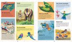 Incredible animals - Imagen 2