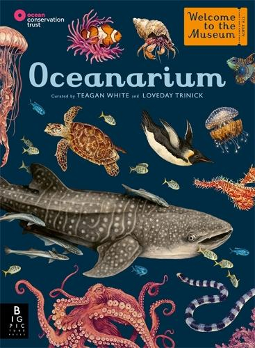 566-15417fb4-f28c-42bb-b135-adee8237b2a5.jpg Oceanarium - Imagen 1