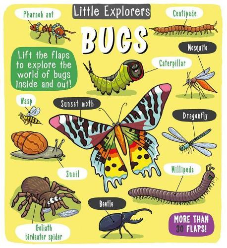 566-43ca8612-1ac7-4b13-b5d6-03d4d29d2a72.jpg Little Explorers: Bugs - Imagen 1