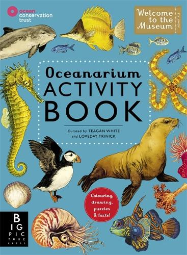 566-72056dcc-e2cc-4a3e-8c96-aeddf7108ee5.jpg Oceanarium Activity - Imagen 1