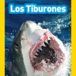 Nat Geo Readers: Los Tiburones (Sharks)