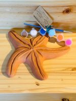 Estrella de Mar