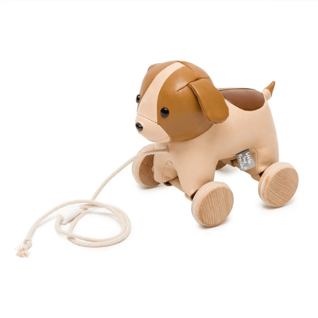566-01965501-ff70-70fa-86bb-319a76a0dcd9.png Pull Along Adrien the Dog - Imagen 1