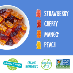 YumEarth. Gummy Bears - Imagen 3
