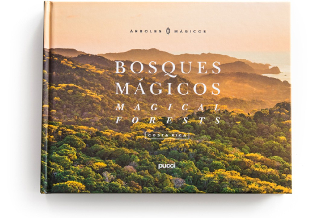 566-0197fb01-7b73-7582-adeb-a88cc989239e.jpg Libro Bosques Mágicos - Imagen 1